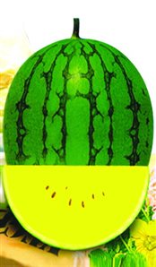 20100312105110293