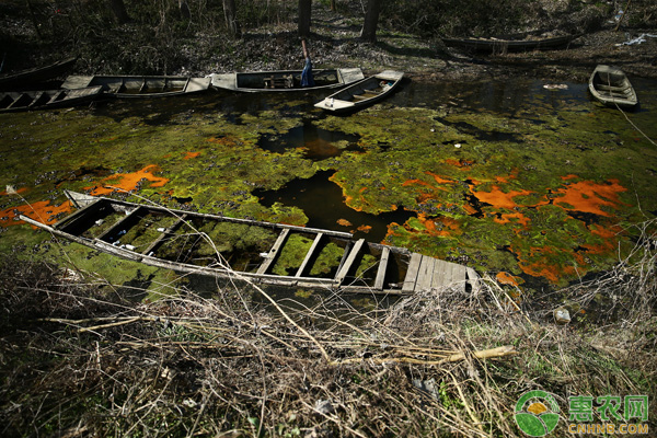 说明:2019年农村规划