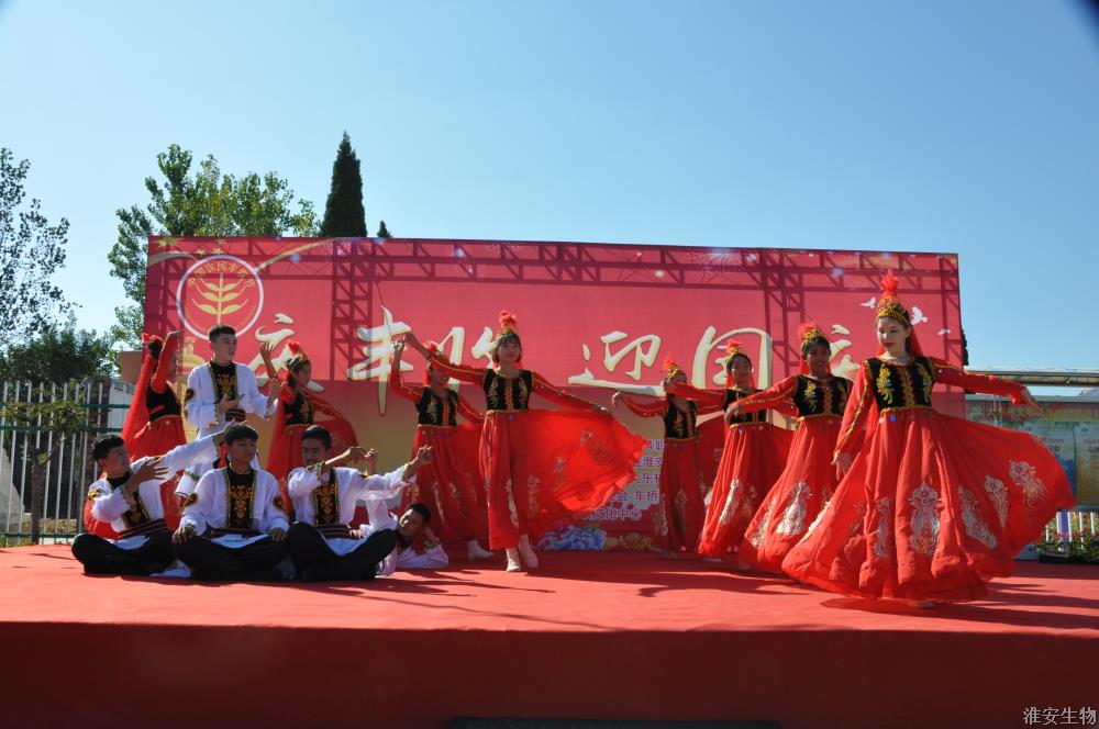 《掀起你的盖头来》1.jpg 《掀起你的盖头来》1.jpg