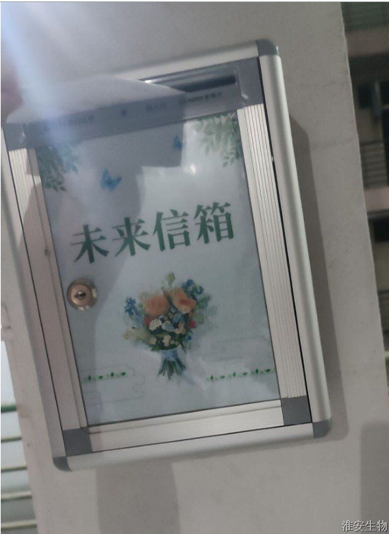 7 写给明年的自己.png 7 写给明年的自己.png