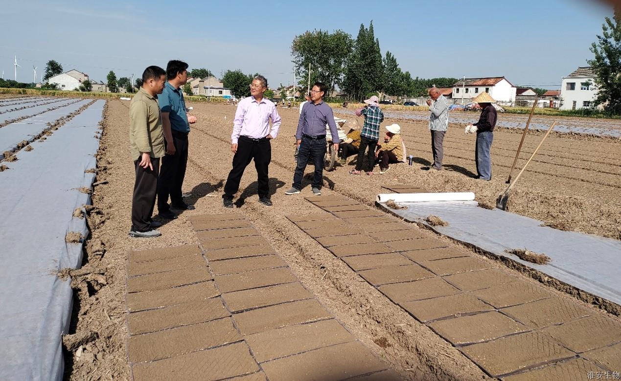 图片8.jpg 图片8.jpg