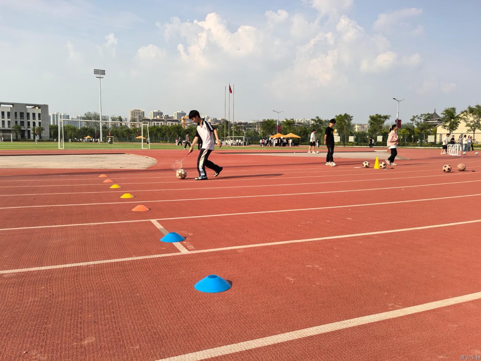 新操场 赶小猪1.jpg