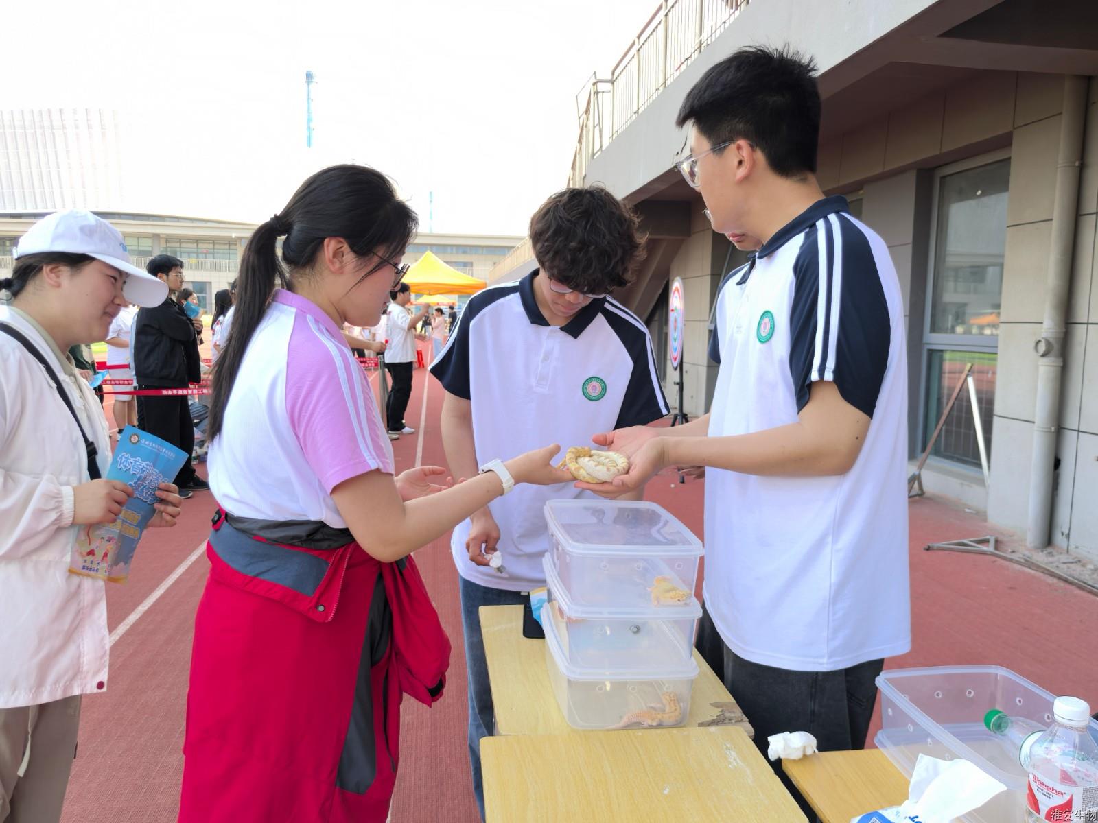 新操场 抚摸爬宠1.jpg