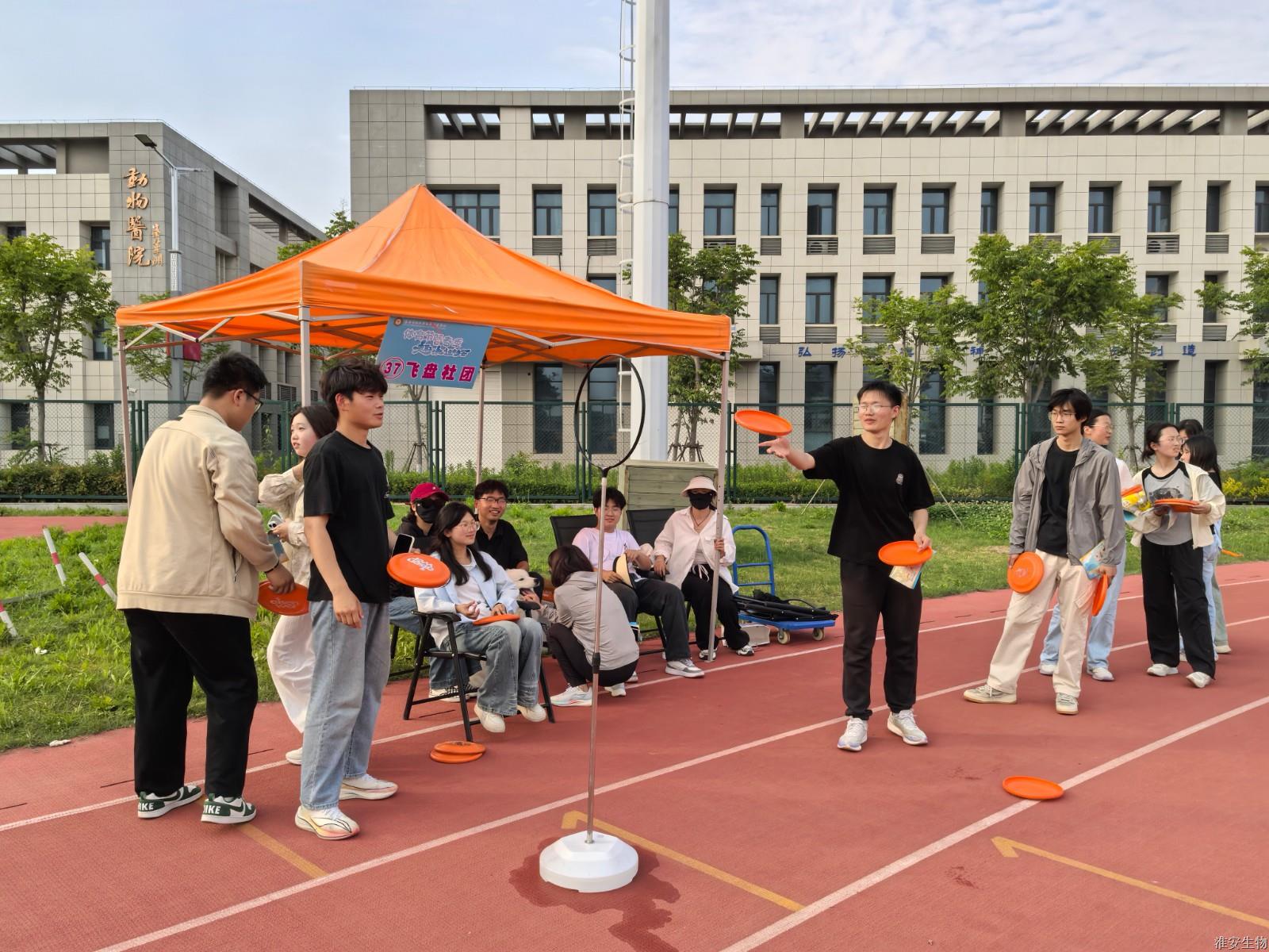 新操场 飞盘.jpg