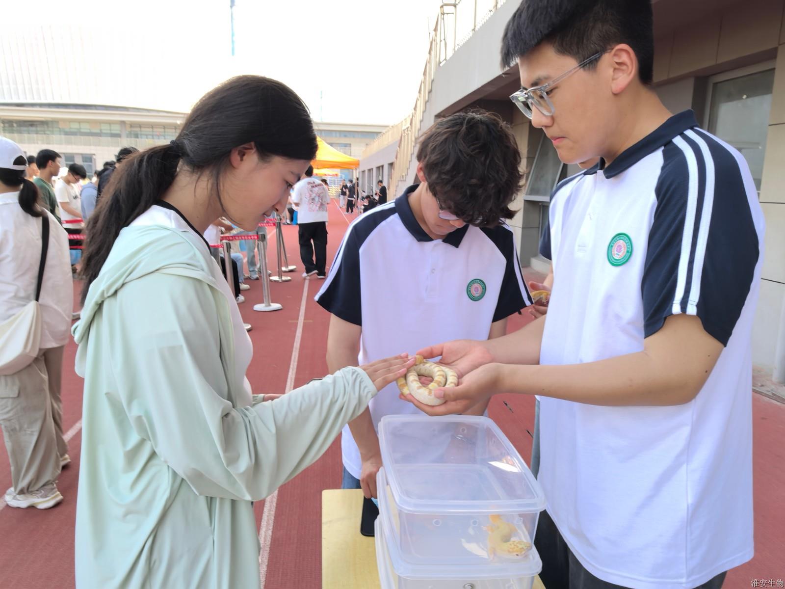 新操场 抚摸爬宠2.jpg