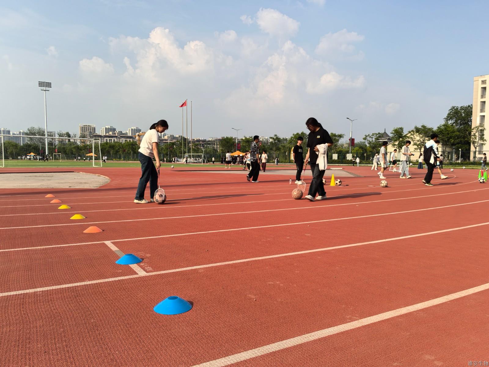 新操场 赶小猪2.jpg