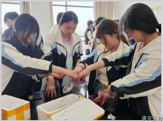 图片14.png