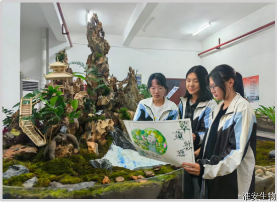 图片13.png