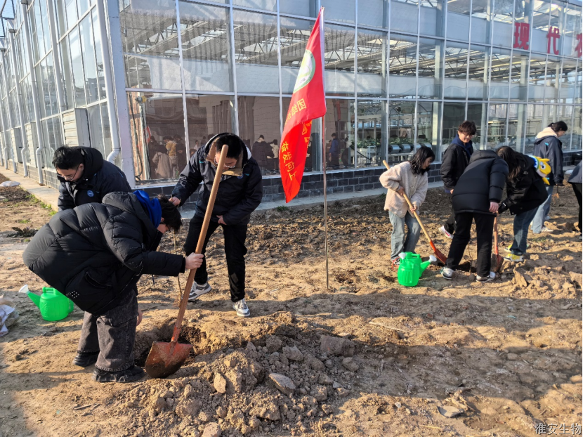 0ba98c6c2364185d7ea647fea1354bb2_377b482118efd4d1.png 0ba98c6c2364185d7ea647fea1354bb2_377b482118efd4d1.png